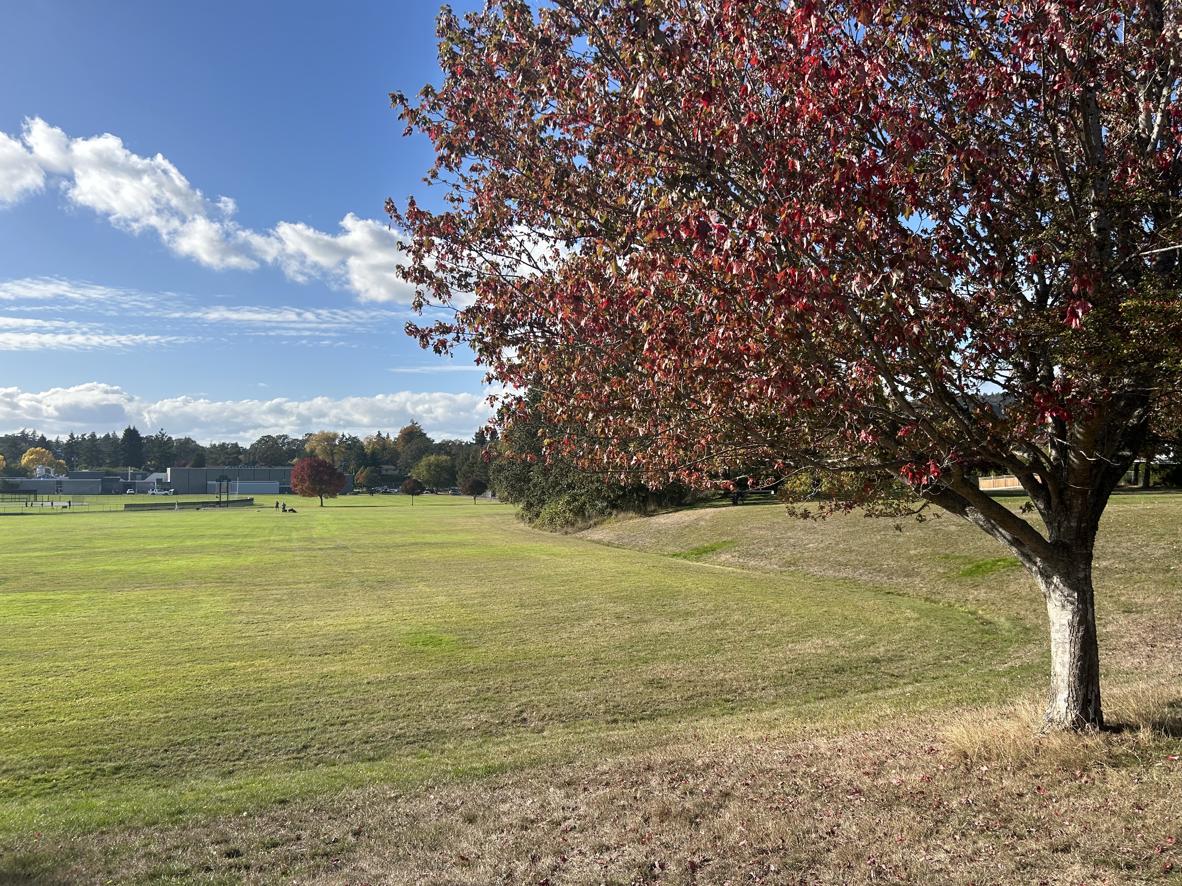 Lambrick Park