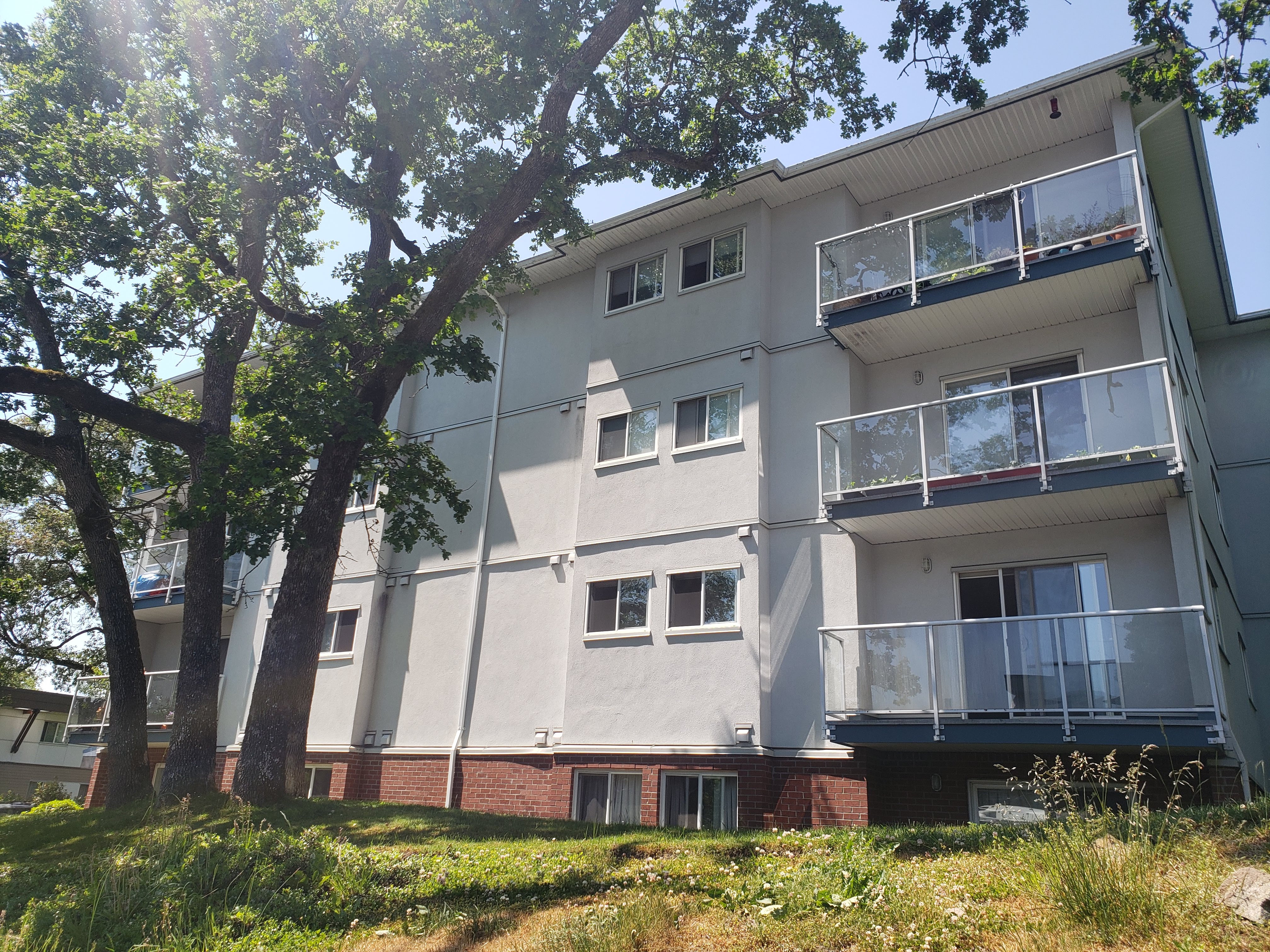 Image of multi unit rental building with a garry oak in front.