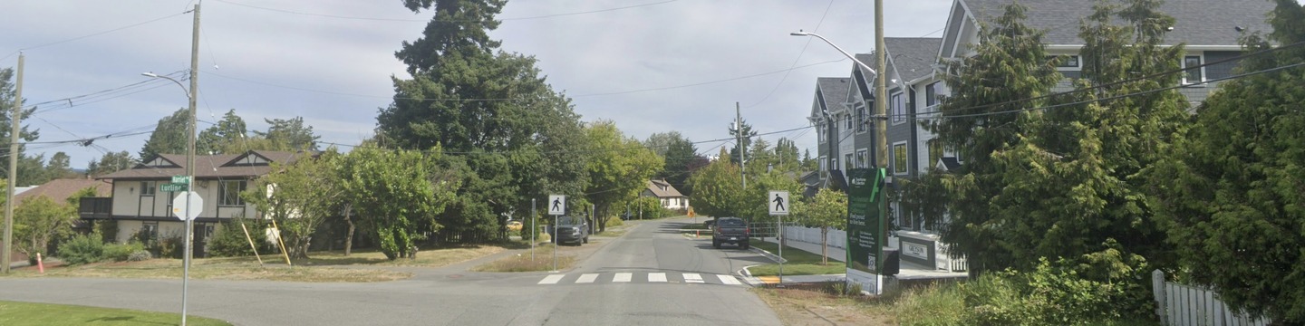 Harriet Road looking north